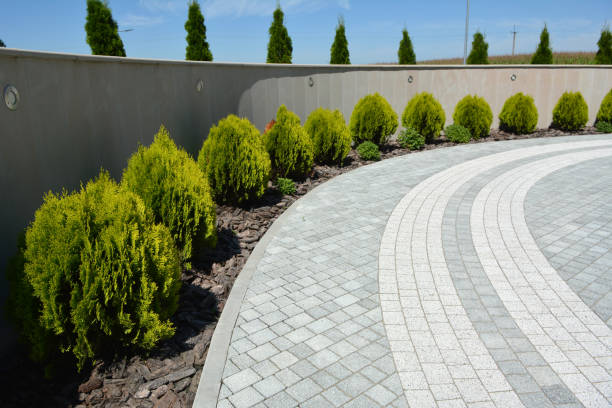 Best Affordable Driveway Pavers  in Mount Hore, WI